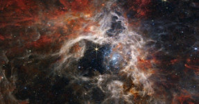 Teleskop NASA James Webb Abadikan Tarantula Nebula, Begini Penampakannya