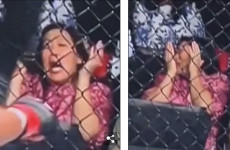 Viral Istri Mark Zuckerberg Ketakutan Nonton UFC