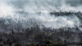 Begini Cara CarbonX Geber Net Zero Emmision