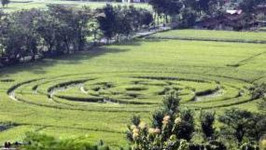 Crop Circle, Bikinan Manusia atau Bukan?