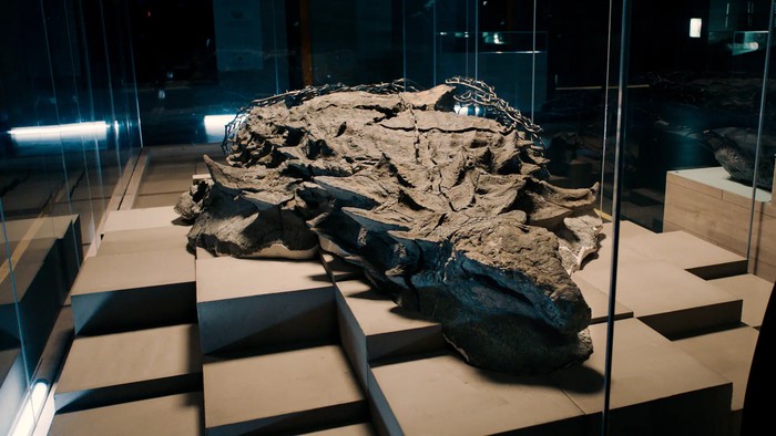 Fosil Dinosaurus Paling Menakjubkan, Seperti Masih Hidup