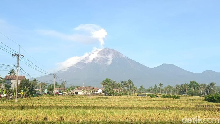 Kondisi Terkini Indosat, Telkomsel, Smartfren, XL Pasca Erupsi Semeru