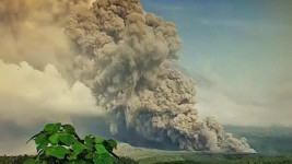 Gunung Semeru Muntahkan Awan Panas, Netizen Ramai-ramai Kirim Doa