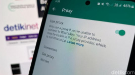 Alamat Proxy WhatsApp untuk Kirim Pesan 'Tanpa' Internet
