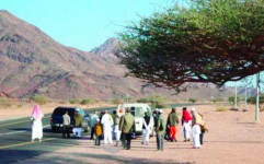Fenomena Ajaib Bukit Magnet Madinah, Sering Disebut Tempat Jin