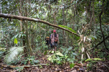 Orang Pendek Misterius di Sumatera Mungkin Sungguh Ada