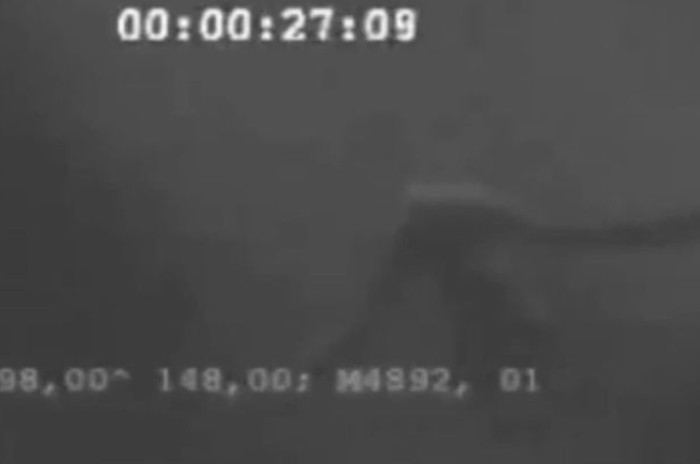 Antartika Jadi Tempat Hidup Monster Misterius Ningen?