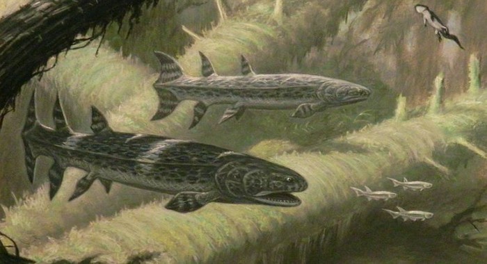 Ikan Lapis Baja Bergigi Silet Pernah Huni Bumi 360 Juta Tahun Lalu