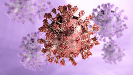 Virus, Bakteri dan Jamur, Mana yang Lebih Menyeramkan?