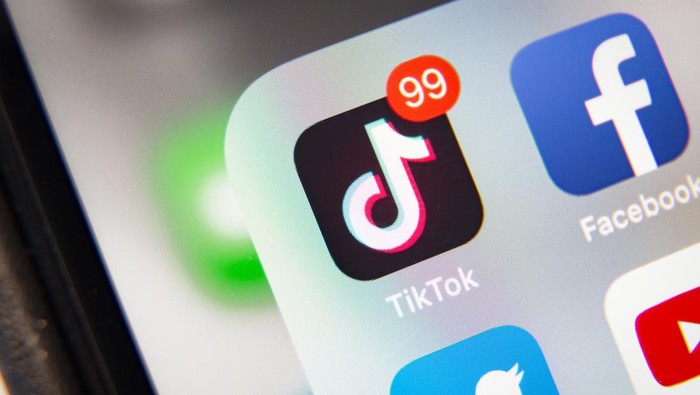 Banyak Diblokir, Pengguna TikTok Malah Melesat