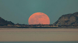 Tercengang! Fotografer Ini Potret Bulan Purnama Cacing Ukuran Raksasa