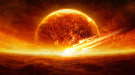 Walaupun Bumi Kiamat, Hewan Ini Diprediksi Akan Bertahan Hidup