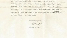 Surat Albert Einstein yang Terbukti Benar 70 Tahun Kemudian