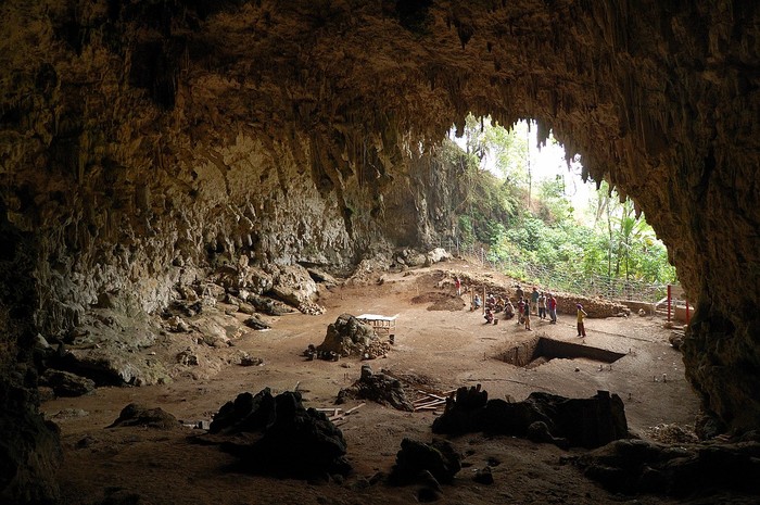 Dugaan Manusia Hobbit Masih Hidup di Indonesia, Ini Kata Pakar