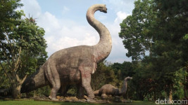 4 Penyakit Dinosaurus yang Juga Dialami Manusia