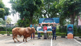 Telkomsel Salurkan 720 Hewan Kurban untuk 46.000 Orang Se-Indonesia