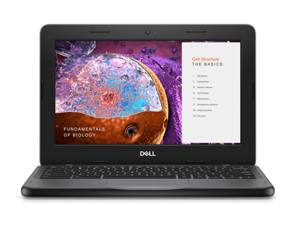 Dell  Chromebook 3110