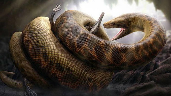 Heboh Penampakan Ular Raksasa Titanoboa di TikTok, Ini Faktanya