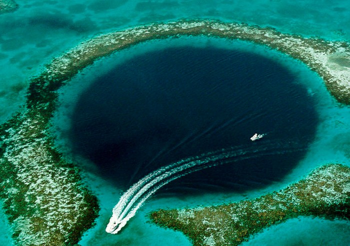 Temuan Menjijikkan di Dasar Lubang Raksasa Great Blue Hole