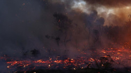 Cegah Kebakaran Hutan Meluas, California Manfaatkan Teknologi AI