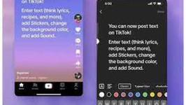 Habis Threads, Giliran TikTok Bikin Fitur Mirip Twitter