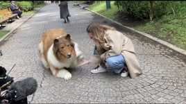 Orang yang Hidup Jadi Anjing di Jepang Sedih Disebut Kelainan Seks