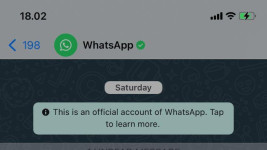 Viral Chat Akun WA Centang Hijau Disebut dari Hacker, Benarkah?