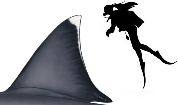 Ukuran Asli Hiu Megalodon, Siripnya Saja Sebesar Manusia Dewasa