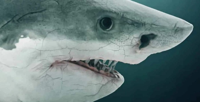 Wujud Asli Hiu Raksasa Megalodon Tak Seperti di Film The Meg