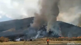 Flare Foto Prewedding Hanguskan Savana Bromo Bikin Netizen Murka