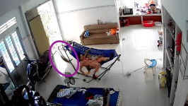 Ngeri! Viral Video Ular Piton Raksasa Nyaris Telan Ibu Anak