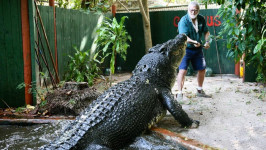 Penampakan Buaya Terbesar di Dunia Bikin Heboh Warganet