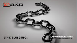 Founder TOPublisher.id soal Manfaat Link Building: Tingkatkan DA Website