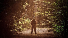 Video Bigfoot Terekam di Pegunungan Amerika