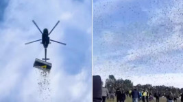Viral Hujan Uang di Ceko, Faktanya Mengagetkan
