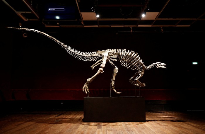 Ilmuwan: Dinosaurus Adalah 'Biang Kerok' Manusia Tak Bisa Berumur Panjang
