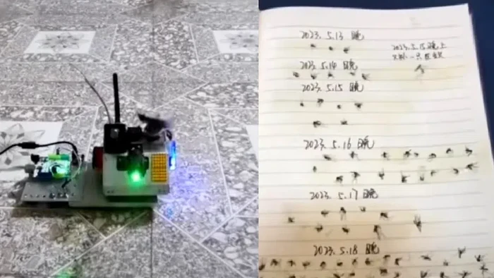 Viral Klaim Nyamuk Ditembak Pakai Laser di China