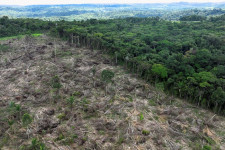 Ngeri, Penggundulan Hutan Sebabkan Lebih Banyak Polusi Merkuri