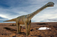 Penemuan 400 Jejak Kaki di Gunung Dinosaurus China