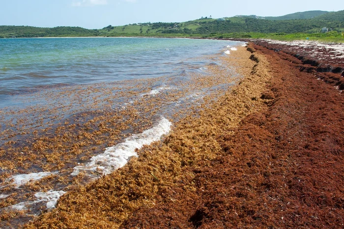 Laut Ini Satu-satunya di Dunia yang Tidak Menyentuh Daratan