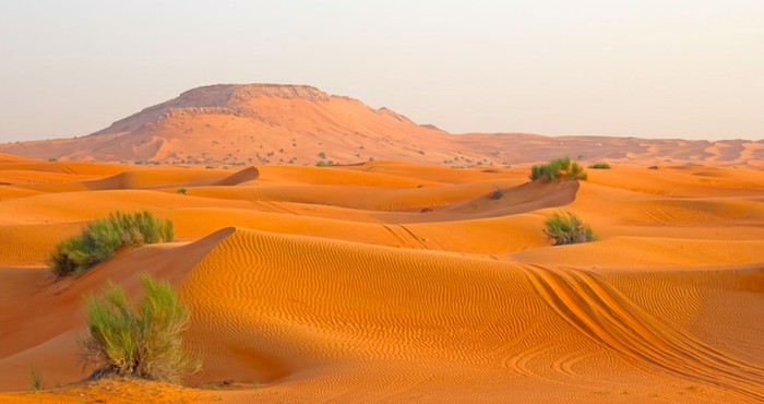 Studi Ungkap Tanah Arab Hijau dan Subur di Masa Lalu