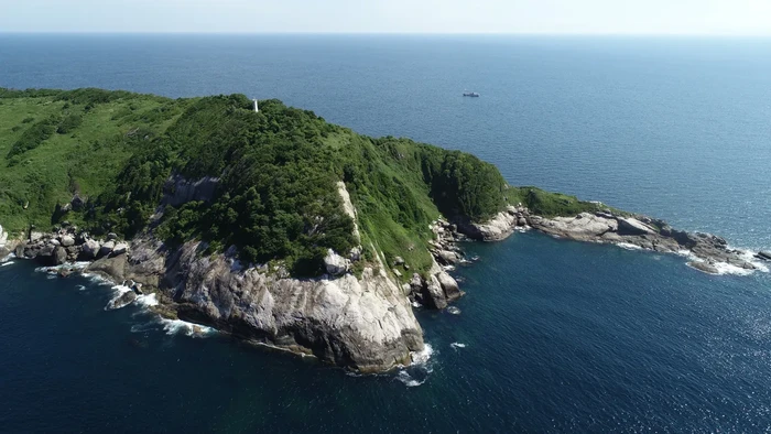 Pulau Terlarang Ini Sarangnya Ular Mematikan