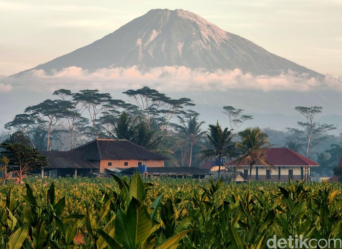 Bukan Amerika, Riset Harvard Sebut Indonesia Negara Nomor Satu