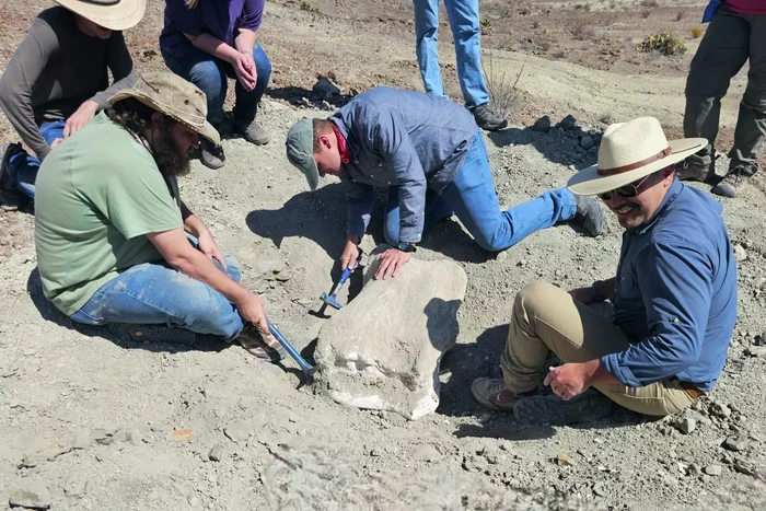 Fosil Salah Satu Dinosaurus Terbesar di Dunia Ditemukan