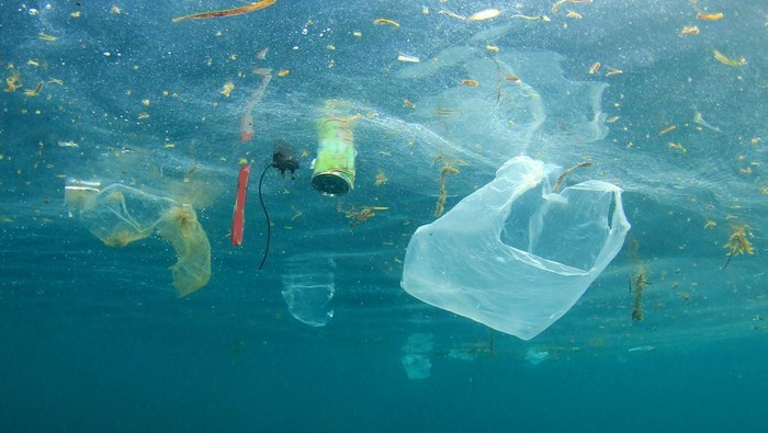 Ilmuwan Temukan Mikroba Pemakan Plastik di Lautan