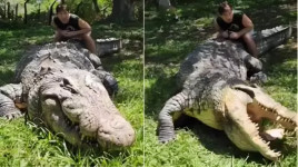 Happy Birthday! Henry Si Buaya Tertua Dunia Bakal Ultah ke-125 Tahun