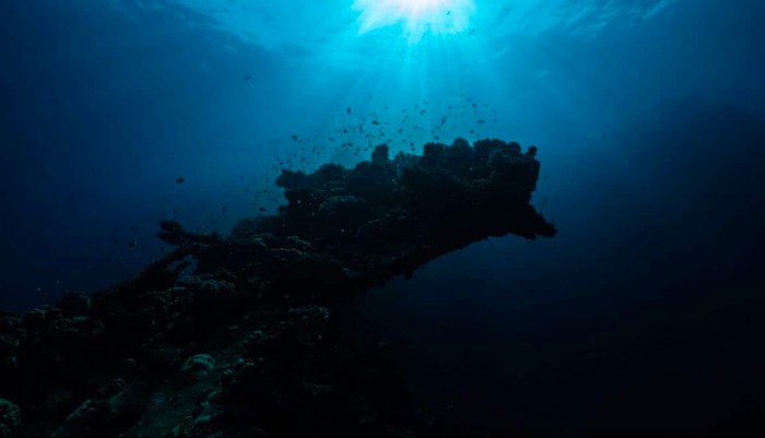 Laut Prasejarah Dihantui Jormungander, 'Naga Laut' yang Pemarah