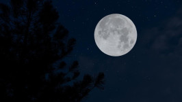 Ada Fenomena Black Moon 23 Agustus, Warga Indonesia Bisa Lihat?