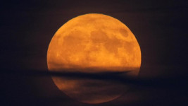 Gerhana Bulan Total Bisa Disaksikan Nanti Malam, Bukti Bahwa Bumi Bulat