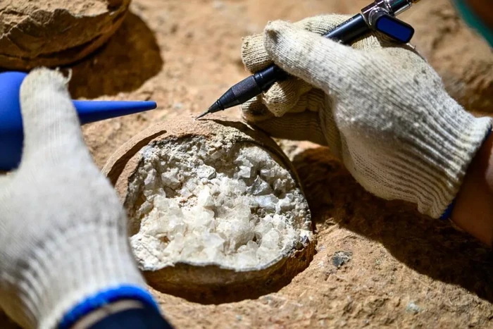 Ilmuwan Berhasil Ungkap Usia Telur Dinosaurus dengan Akurat